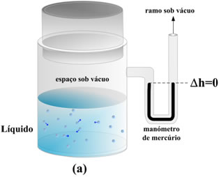 vaso1