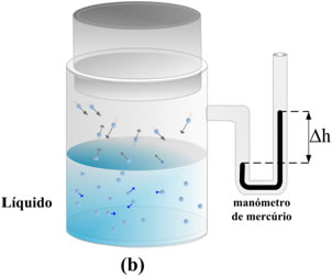 vaso2