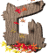 g_md_wht.gif (8249 bytes)