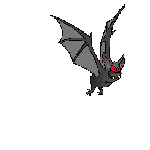 morcego